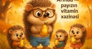 Armut çocuklar için
