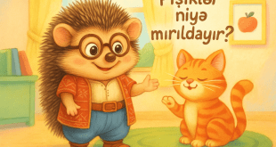 Kirpi Nuk Düşünür: Pişiklər Niyə Mırıldayır?